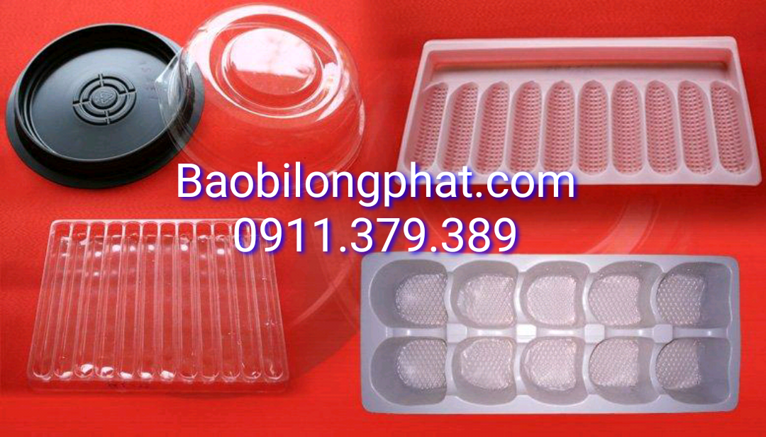 GIA CÔNG KHAY NHỰA - VỈ NHỰA